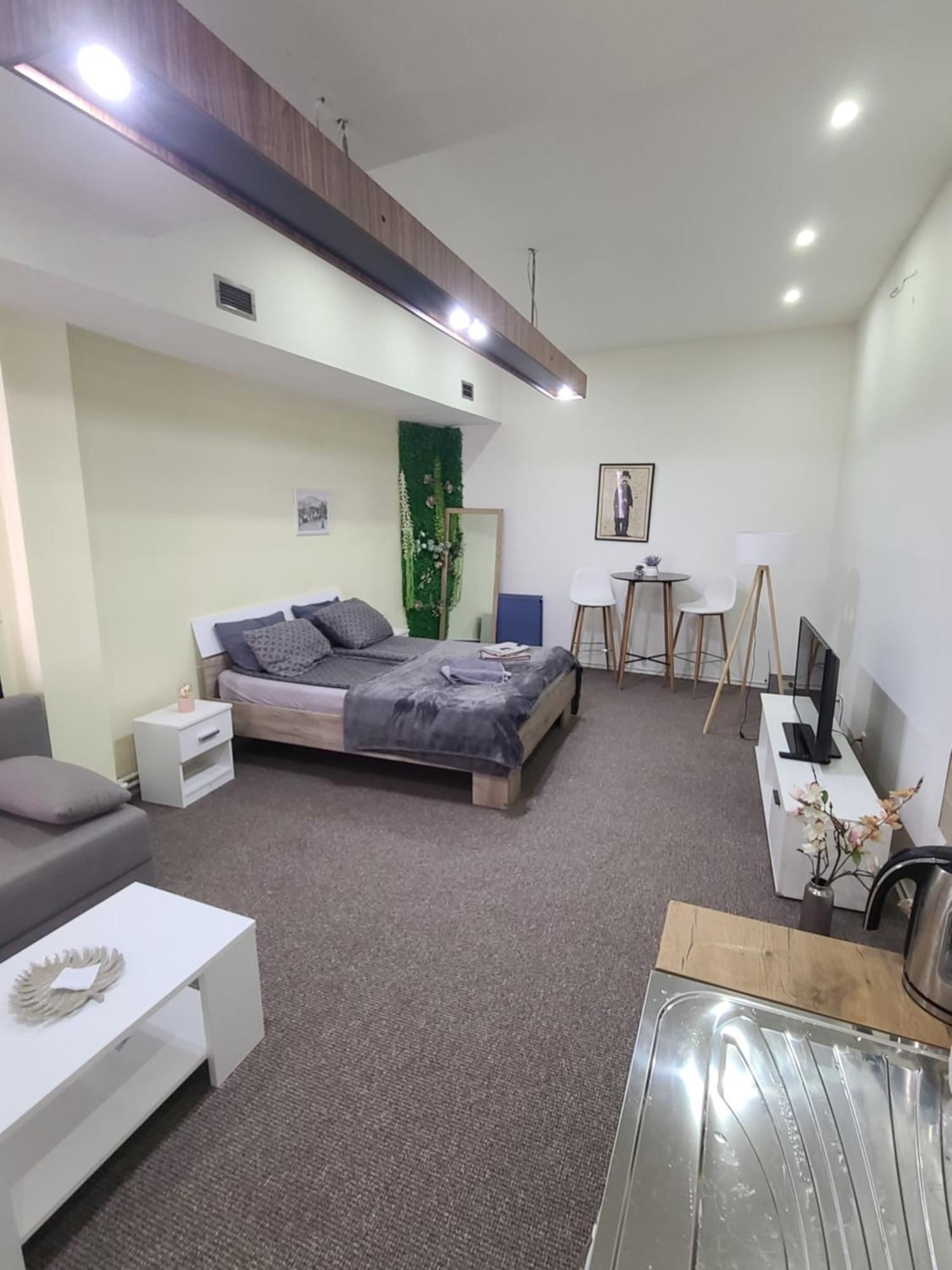 Stari Zajecar Apartments Room photo